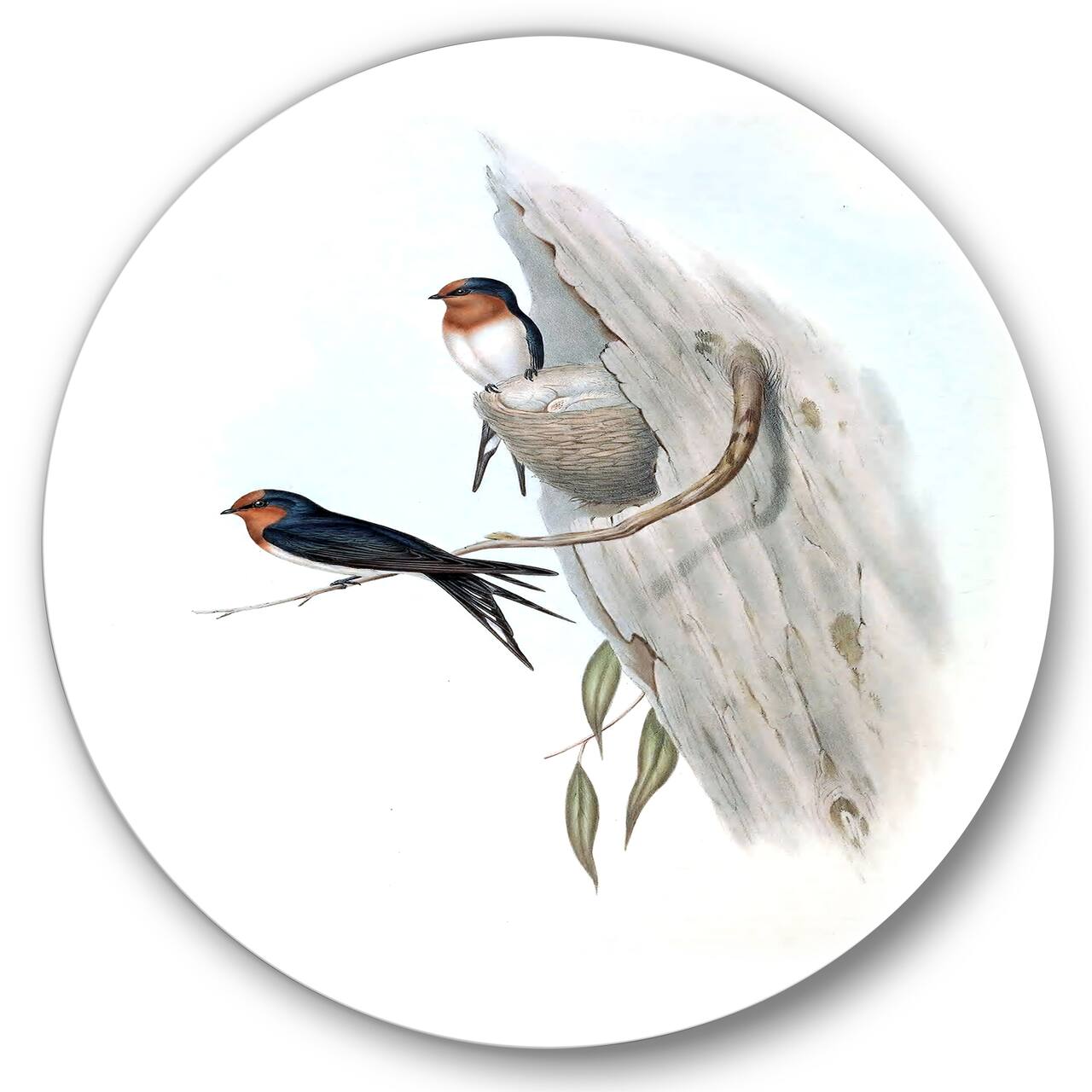 Designart - Vintage Australian Bird Illustrations II - Traditional Metal Circle Wall Art